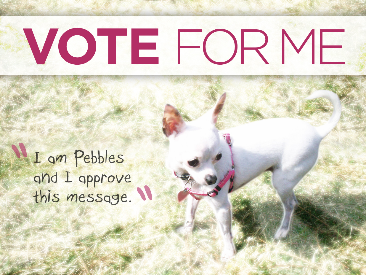 Vote for ME!